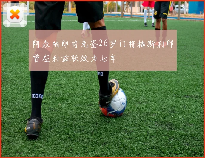 阿森纳即将免签26岁门将梅斯利耶曾在利兹联效力七年